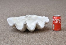 New resin large clam - resin, shell