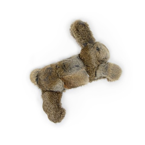 Dog field real feel - &, rabbit