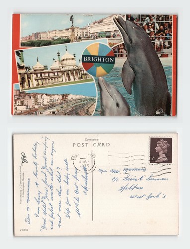 Vintage postcard brighton - postcard,