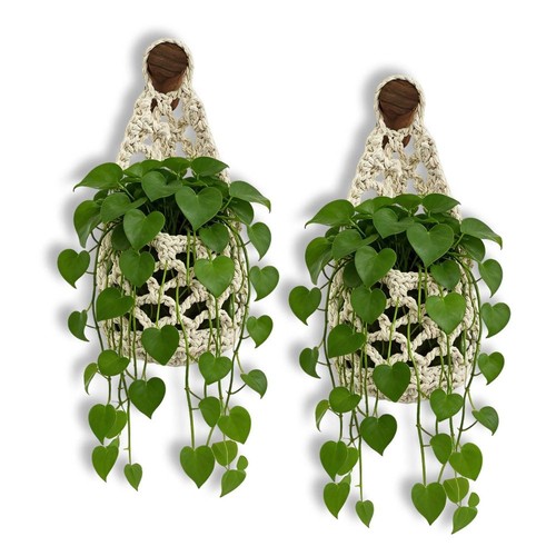 Macrame plant hanger - macrame,