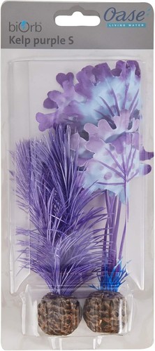 46079 kelp set small - set, purple