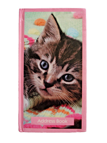 Tabby cat kitten - , address