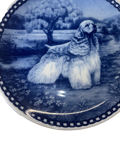 American cocker spaniel - spaniel, plate