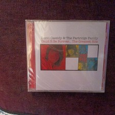David Cassidy - Could It Be