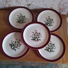 5  Vintage Wedgwood Etruria