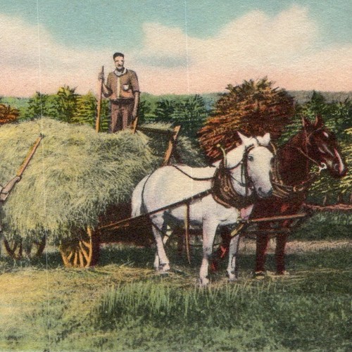 C1930s windsor postcard - c1930s, windsor,