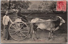 Vintage 1910s CEYLON (Sri