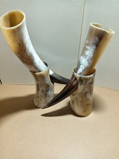 Viking Drinking Horns with