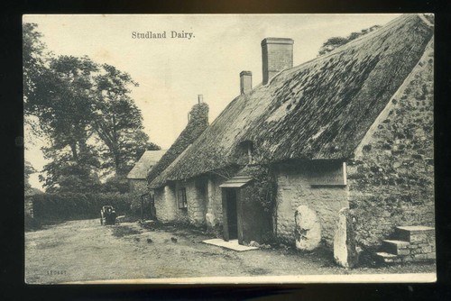 Studland dorset the dairy - dairy,