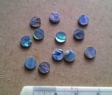 12 PAUA  NEW ZEALAND ABALONE  Luthier Dots  Inlay Fret  Side Marker - All Sizes