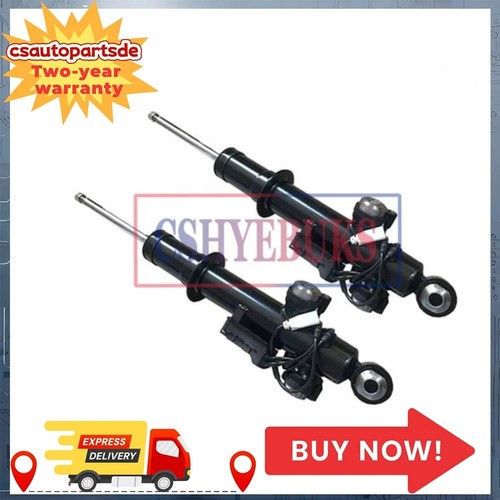 Pair rear shock - rear,