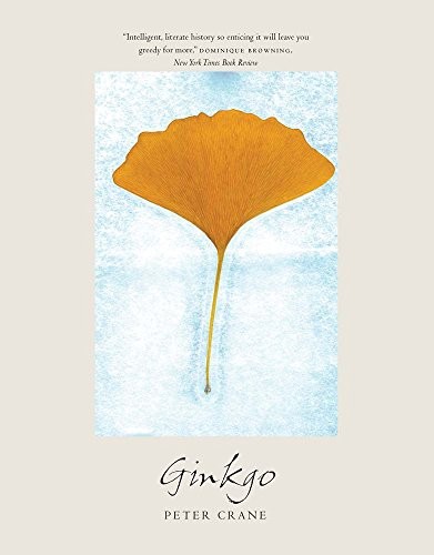 Ginkgo the tree - the,
