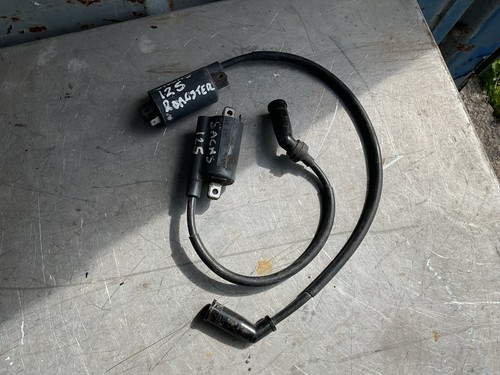 Sachs 125 roadster 2002 - sachs,