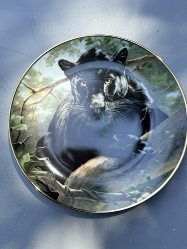 Franklin mint silent - franklin, watch"
