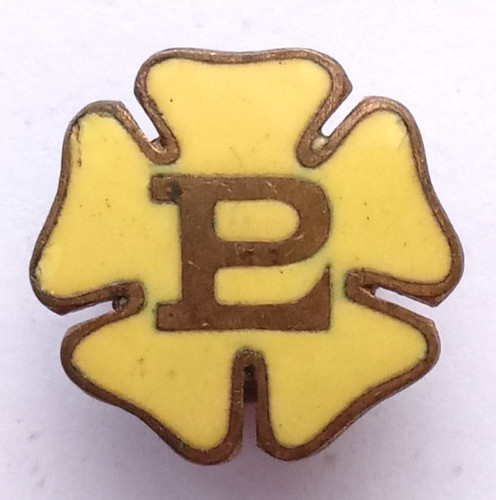 Primrose league vintage enamel - primrose,
