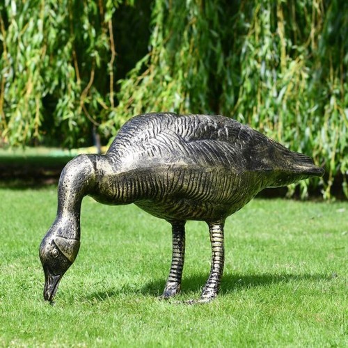 Stunning feeding goose garden - goose,