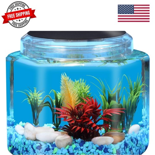 Gallon hex bettatank - gallon, led
