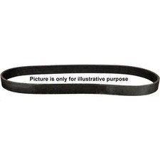 Multi-ribbed V-belt 1118102000