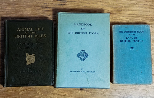 Vintage books animal life of - vintage,