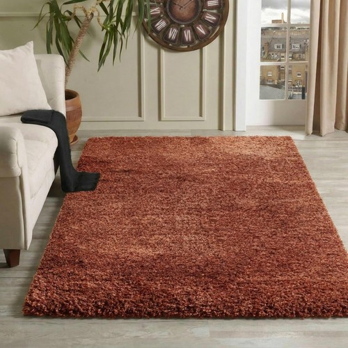 Shaggy rugs large - shaggy,