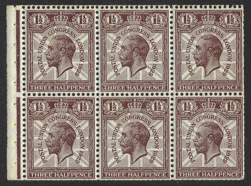Kgv sg436c purple brown - kgv,
