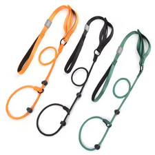 Nylon Slip Lead Dog Slip Leash and Collar Dog Training Leash with Double Handle