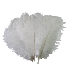 12 pcs 24-26" long White