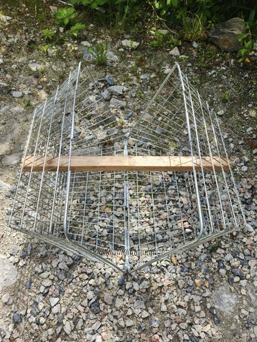 Clam larsen trap - larsen, vermin