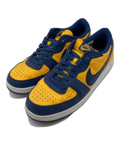 Nike terminator low bfp60 - low,