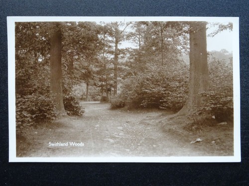 Leicestershire swithland woods - leicestershire,
