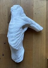Rare Antique Victorian Plaster Cast Sculpture of Flayed Torso, Wall mounted.