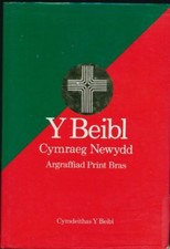 Beibl cymraeg newydd - y,