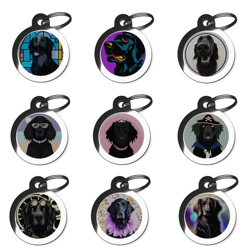 Flat coated retriever breed - flat,