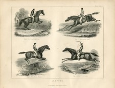 LEAPING ORIGINAL ANTIQUE 1880 HORSE PRINT S4