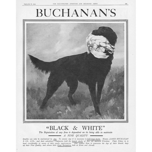 Buchanan black white whisky - white,