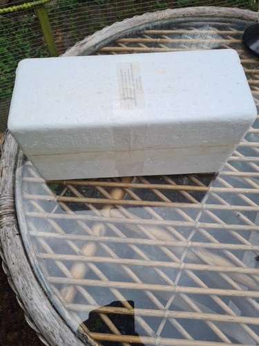 Preloved polystyrene moulded - polystyrene,