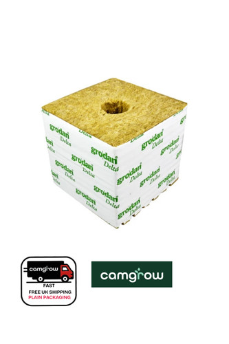 Inch large hole hugo - 6-inch, (1")