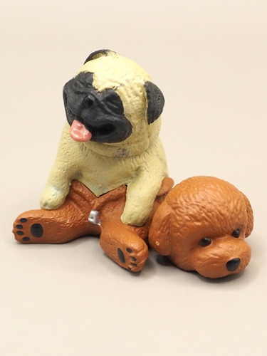 Pug toy poodle - poodle, impersonation