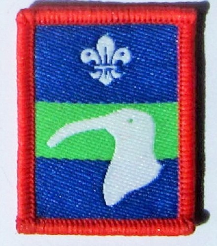 Scout patrol badge - badge,