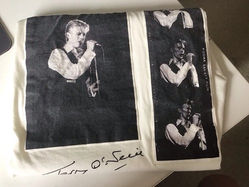 Wow david bowie - david, terry
