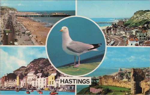 Sussex postcard hastings - -,