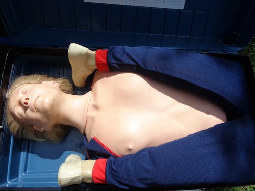 Laerdal resusci anne torso and - anne,