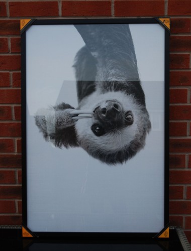 Xxl frame 93x62cm - frame,