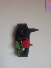 Taxidermy Crow Head Mount In