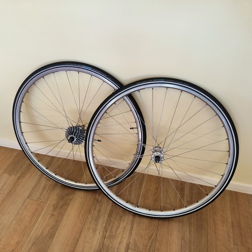 Campagnolo athena berlin - campagnolo,