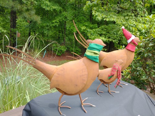 Rustic pheasant family - family,