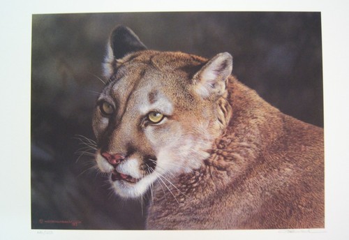 Close cougar by - up, carl