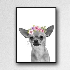 chihuahua dog print PICTURE