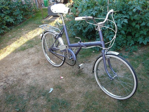 Raleigh stowaway folding - raleigh, 20