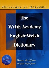 The Welsh Academy